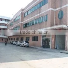 DG-Master Apparel Co., Ltd. company overview - view 1