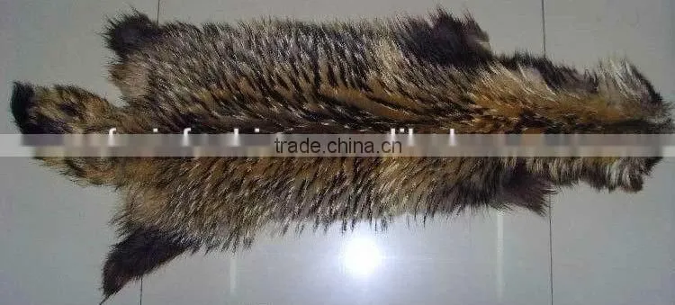 Real Raccoon Dog Skin