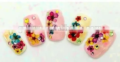 H1-034 12COLORS Dried Flowers for Nail Art Embeddi(12Colours ) 1.These dried DRY FLOWER ,Real dry flower