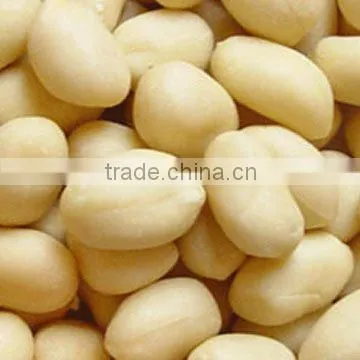 shandong new crop blanched peanut kernels