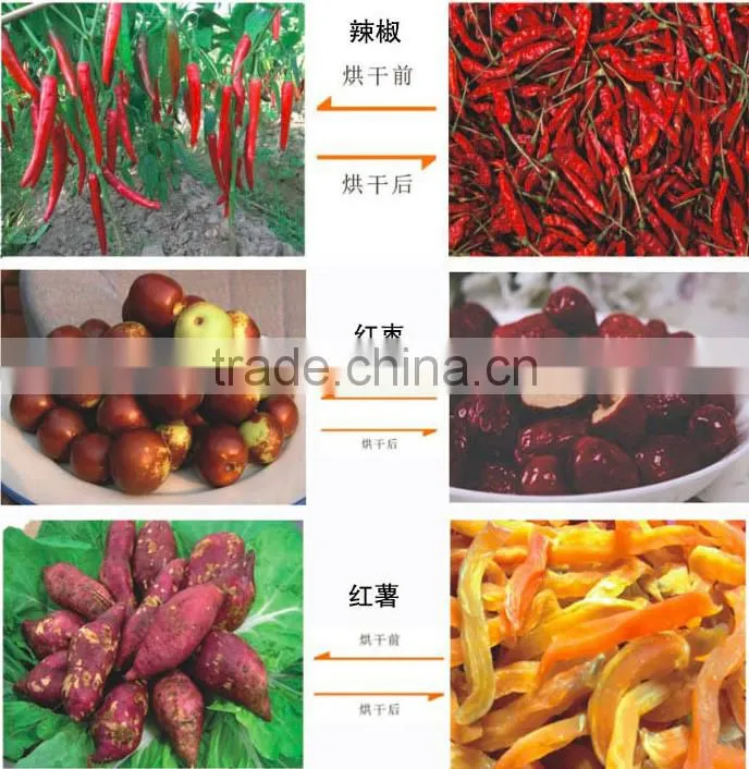 Best selling food dehydrator vegetable and fruit drying machine