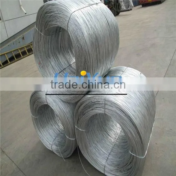 Electro Galvanized Wire (Haiyue Factory)
