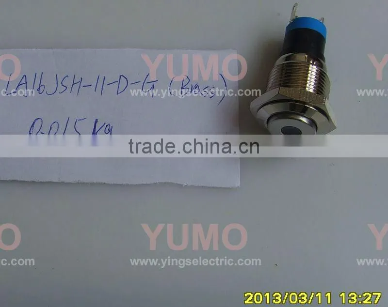 LA16JSH-11-D-G illuminated vandal resistant push button switch brass