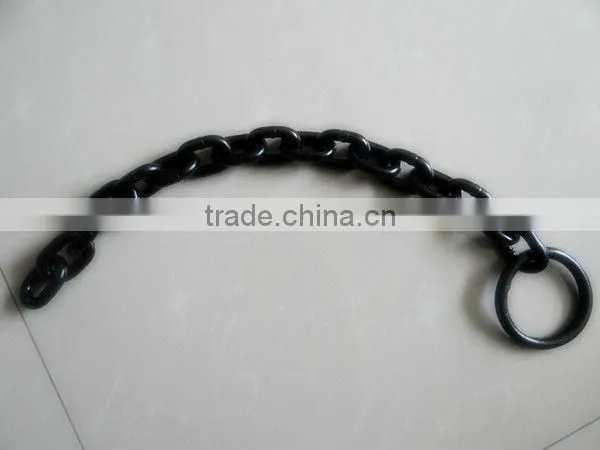 Popular Lifting Machinery 3T 3M Vital Manual Chain hosit
