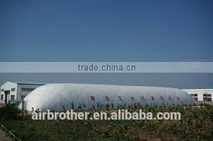 CE giant inflatable water pool