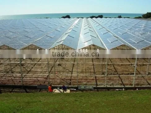 Steel structure of glass ecological greenhouse