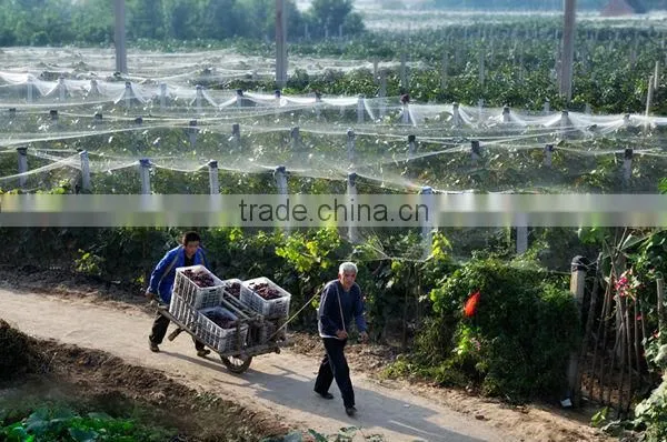 2014 hot sale hdpe bird capture net