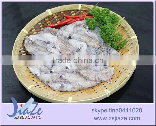zhoushan sea caught frozen baby squid