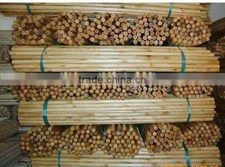 wholesale natural eucalyptus vineyard grape stakes for plant support