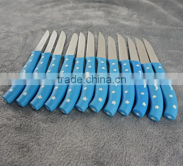 51010 12PCS STAINLESS STEEL fruit Knife Set