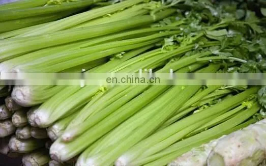 price for Green Onion Parsley Leeks chinese chives Harvester