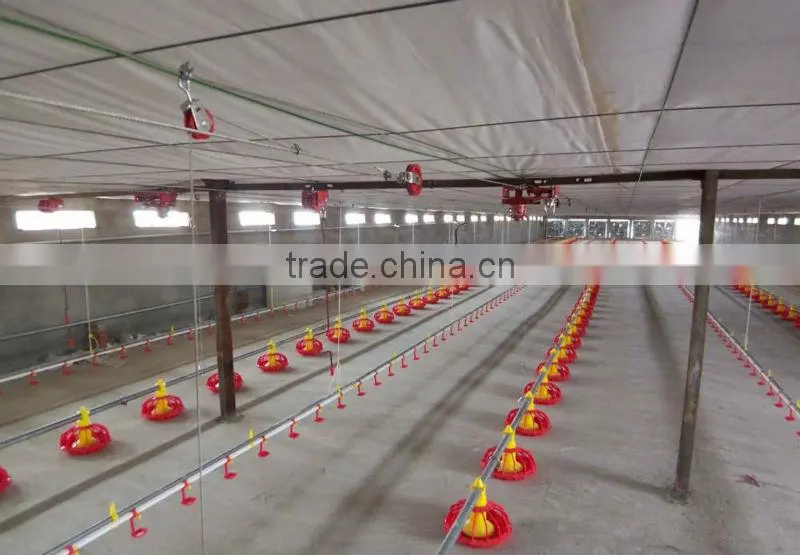 High quality automatic chicken feeder for poultry equipment /poultry feeder/chicken feeder