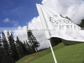 high quality plastic tube golf flag
