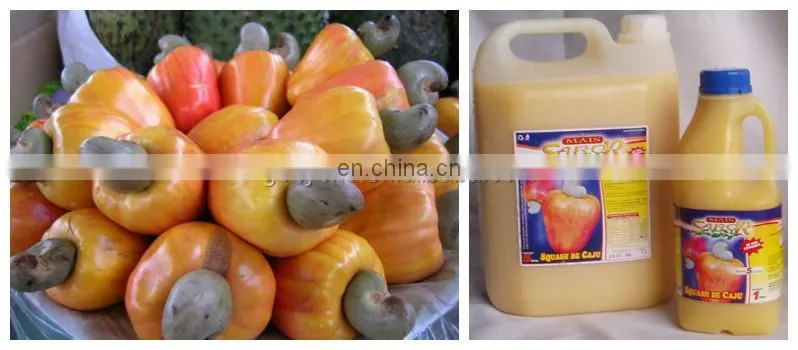 Commercial cashew apple juice processing line