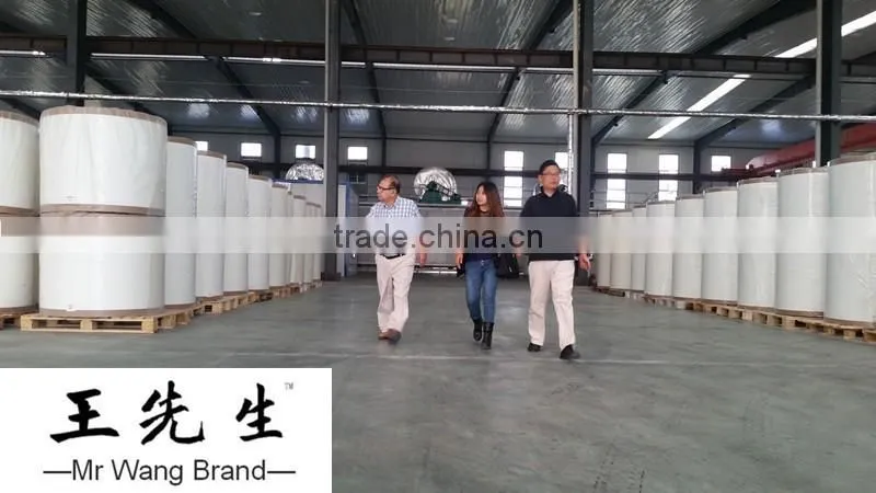 China Fiber Glass Mat Factory/E-glass fiber Mat/Fiberglass Mat 80g *