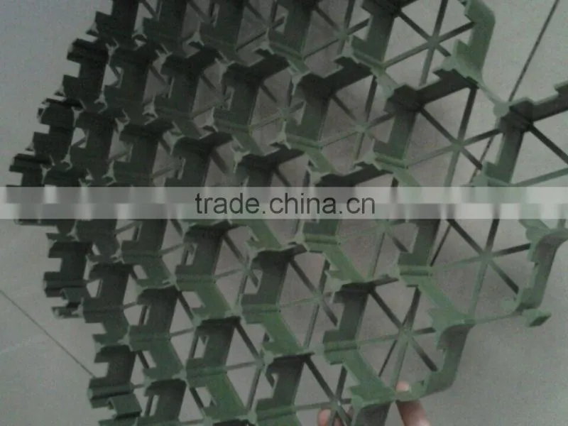 Plastic grass paver / grass planting plate
