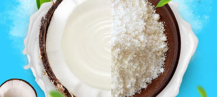High Speed Coconut Cream Processing Machine