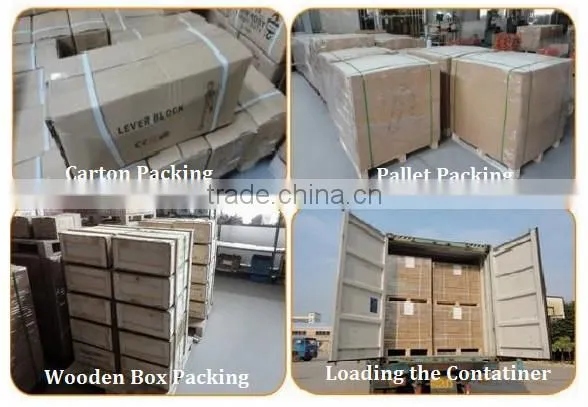 2015 New Popular Webbing Sling& Chair Webbing Material