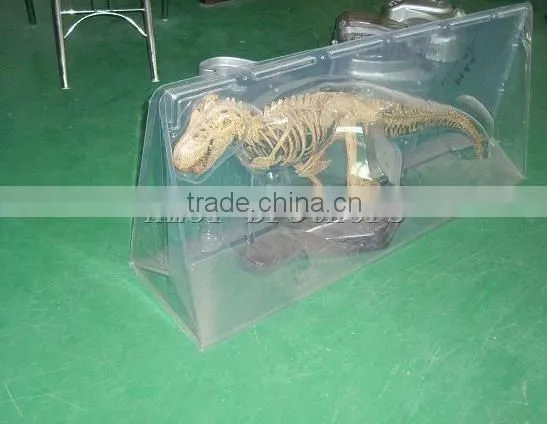 plastic blister packaging for toy display,OEM design