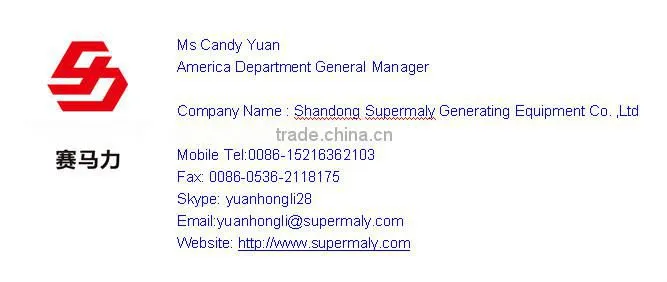 1MW natural gas generator from supermaly power with low speed