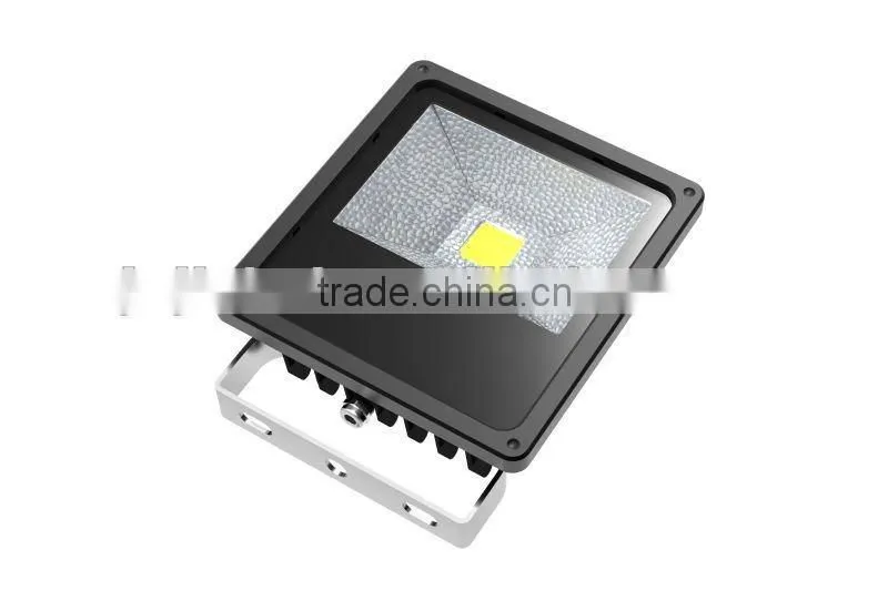 30W/50W/100W/ DMX led floodlight color changing