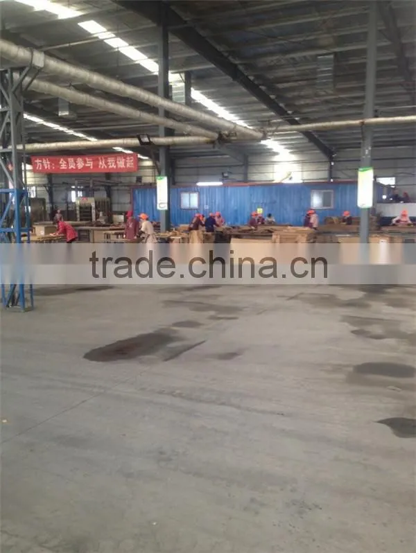 wood veneer door skin/teak wood door skin/molded melamine door skin