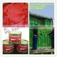 Fresh vegetables canned tomato paste concentrated 28-30%,tomato sauce