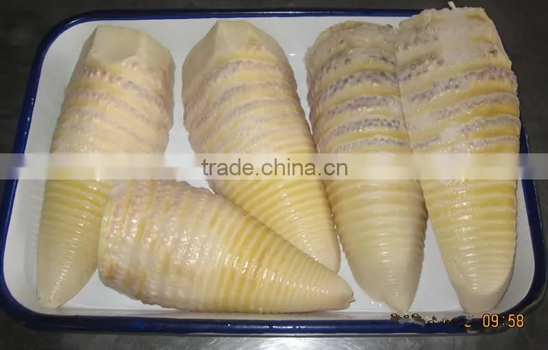 High quality canned bamboo shoot to European,American,Africa