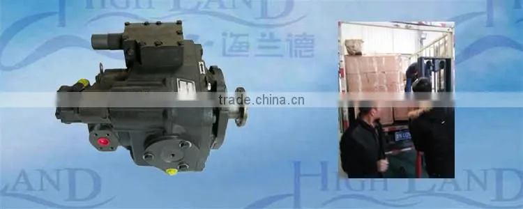 Alibaba Website Supply hydraulic pump hand pallet truck