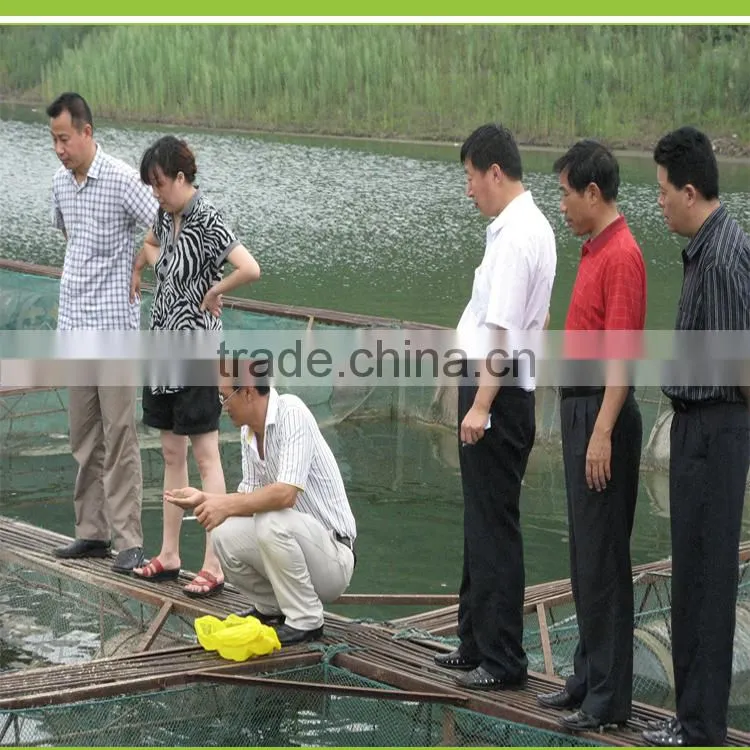 CHONGKEXING Kill insect in water aquaculture USE insecticide & disease prevention