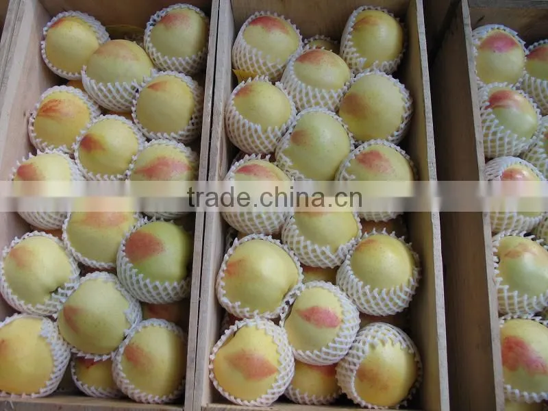 Good quality epe foam net machine for package