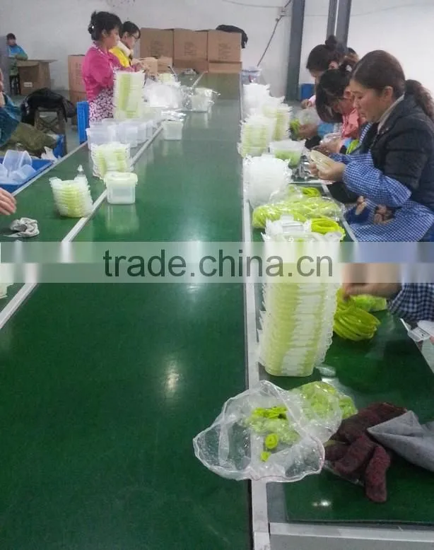 3pcs vacuum food storage container GL9513-B