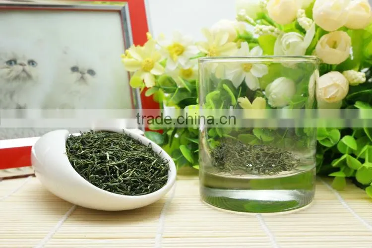 2015 new early spring High Mountain Refined CaiHua Maojian Green Tea