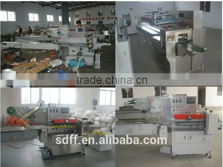automatic beef jerky food packaging machine price