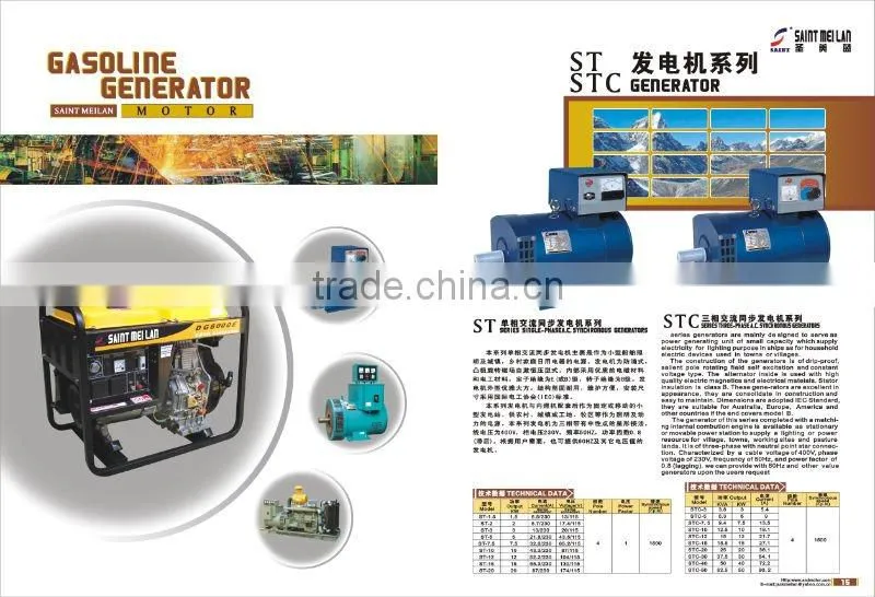 DG1000E Electric Generator 1kw Power Supply (Welding Machine)