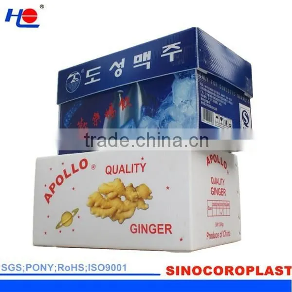 PP Corrugated Plastic Fluted Ginger Box