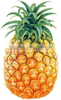 Bromelain 1200GDU /g Pineapple Extract
