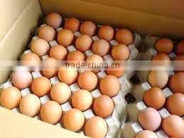 FRESH BROWN CHICKEN EGGS