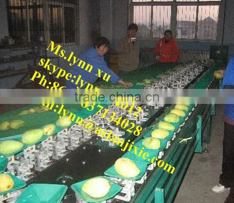 fruit sorting machine by weight /apple sorting machine