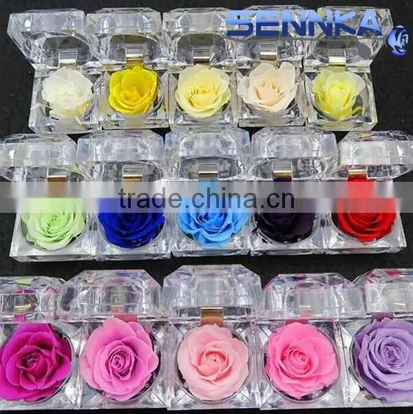 Natural preserved rose flower crafts with various colors