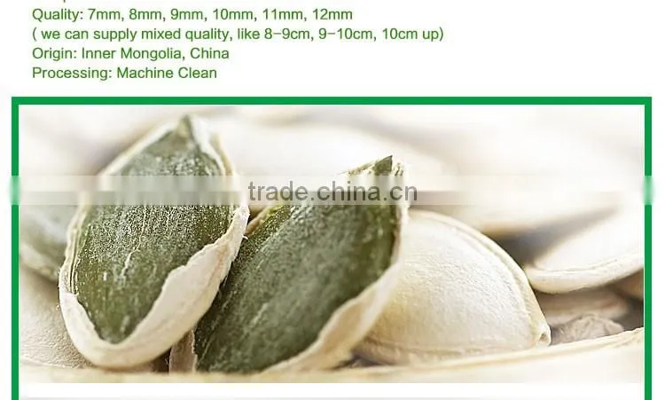wholesale edible white pumpkin seed price