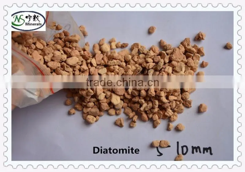 Diatomaceous earth diatomite absorbent with high absorbent capacity