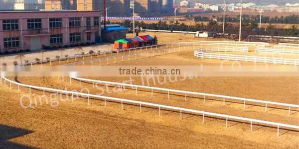 Horse Racing Rail