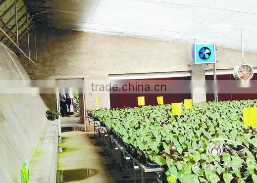 evaporative kraft paper air cooler for greenhouse