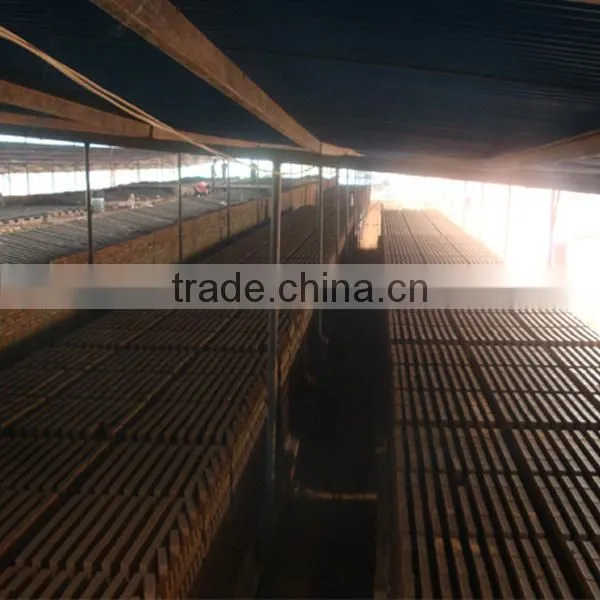 China Firing vacuum extruder machine for clay brick