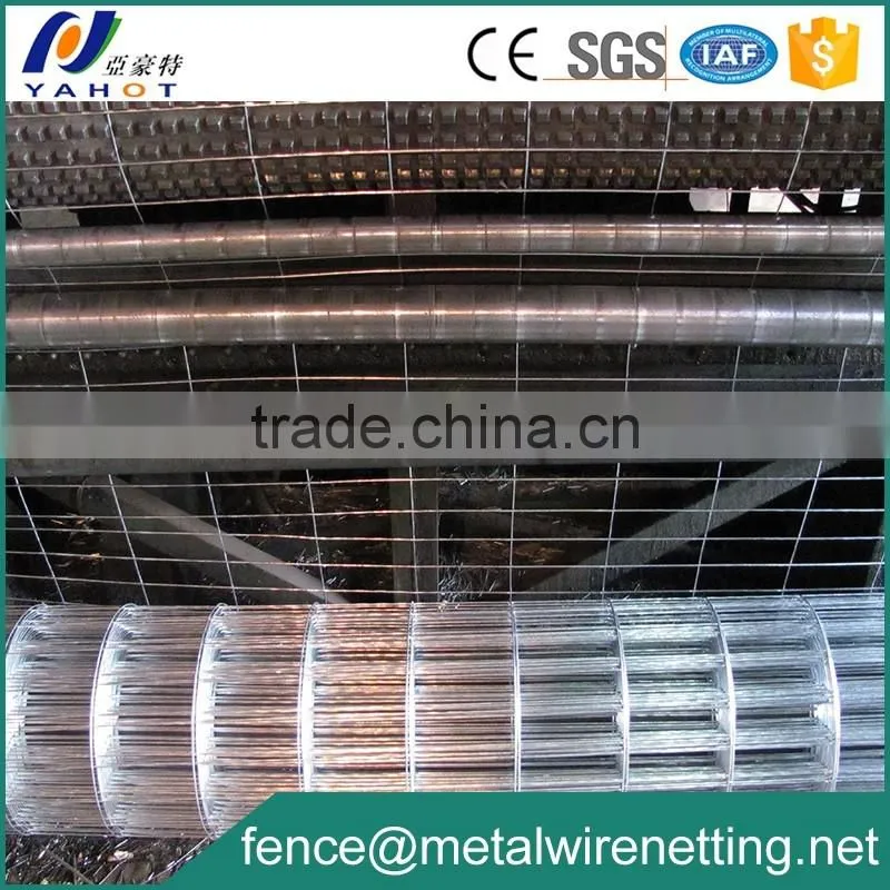 Welded Wire Mesh Hot Dipped Galvanized