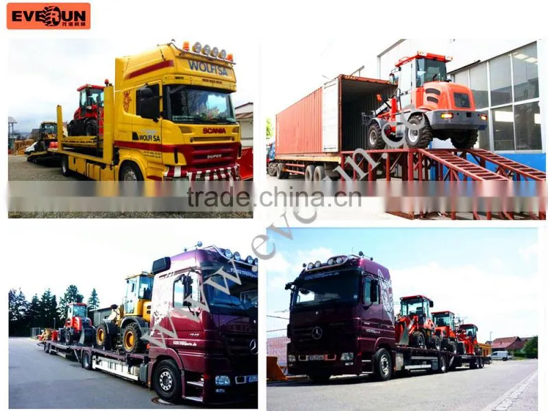Everun ER06 hydrostatic driving 600KG loading capacity mini Loader/Hoflader