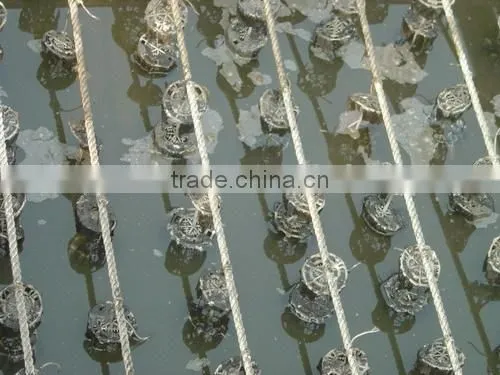 Hot Sales Kaldnes Bio Filter Media & Suspending Water Treatment Media