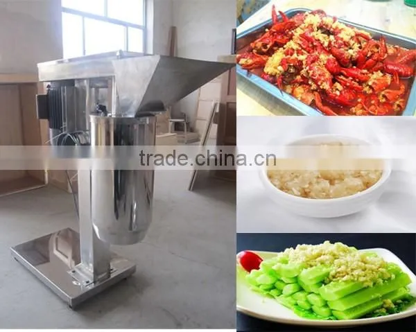 2016 High output garlic paste grinding machine with new design