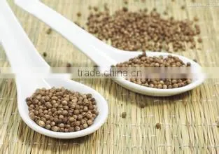 Coriander seeds Multiple layer continuous type mesh belt dryer